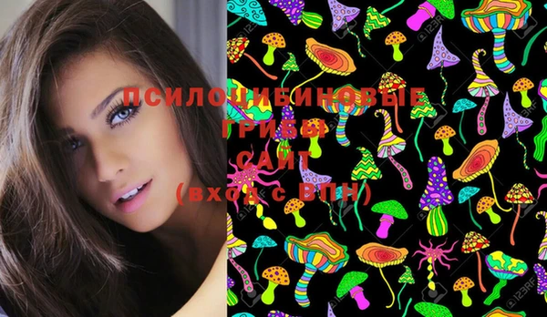 бошки Нефтегорск