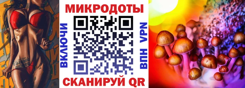Купить  Владивосток  Галлюциногенные грибы Psilocybe 